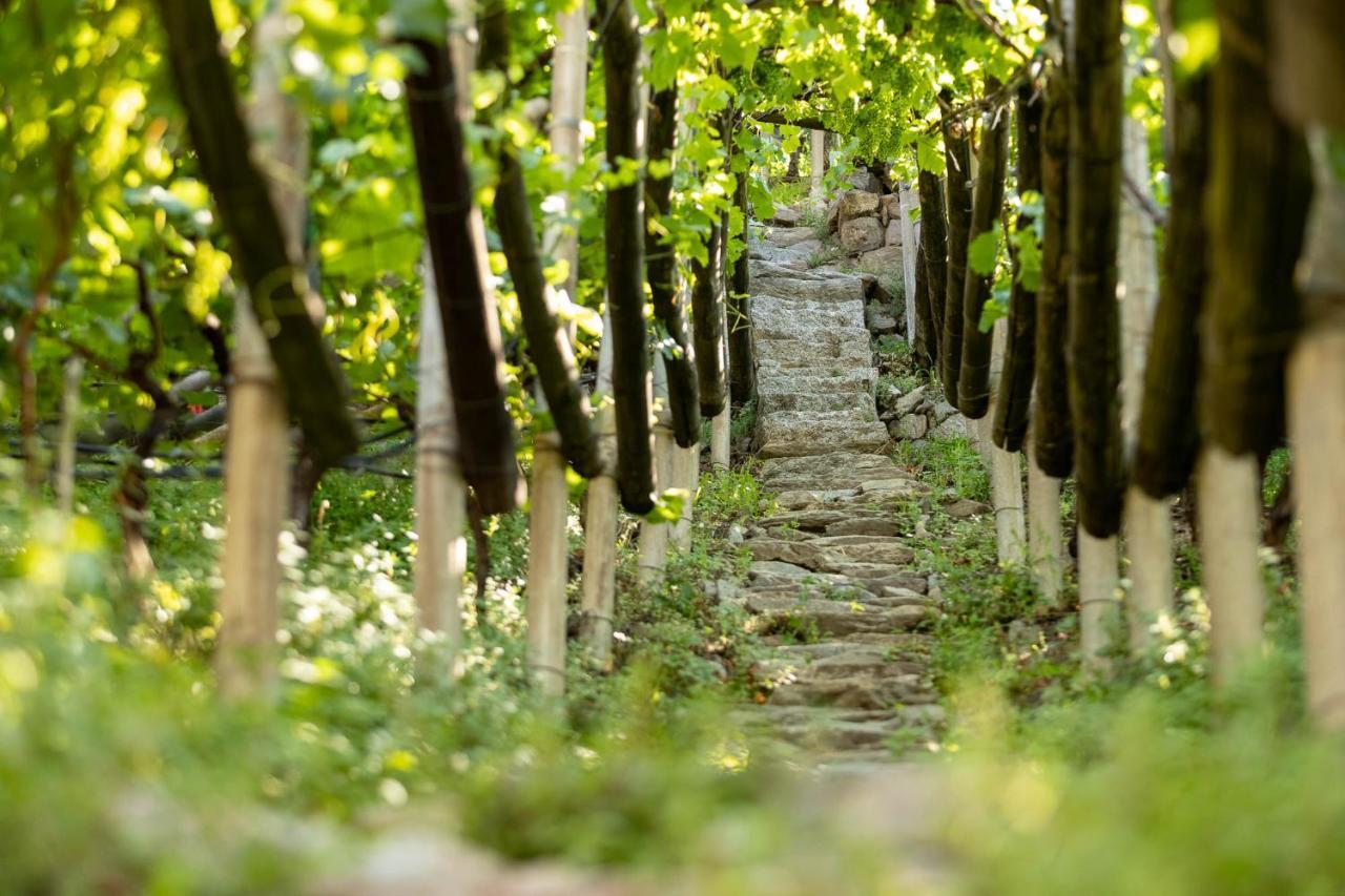 Апартаменты Der Ladurner Hof - Wohnen Am Weinberg Мерано Экстерьер фото